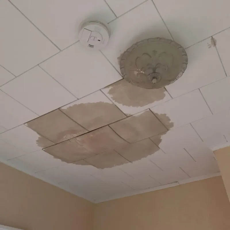 Ceiling Water Damage Repair in Boswell, PA