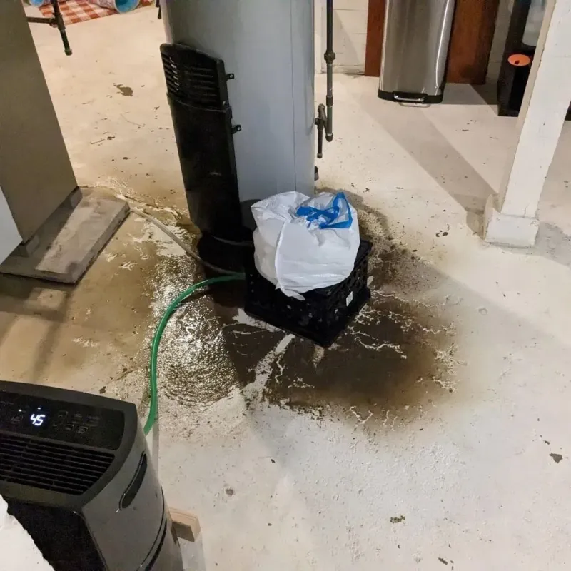 Sewage Backup Cleanup Service in Boswell, PA